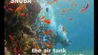 snuba diving in eilat israel [upl. by Oicnanev]