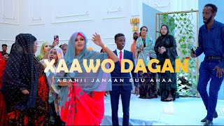 XAAWO DAGAN  HEES CUSUB  ABAHAA JANAAN BUU AHAA  OFFICIAL  MUSIC VIDEO 2023 [upl. by Genevieve]