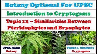 Similarities between Pteridophytes and Bryophytes Pteridophytes and Bryophytes Botany optional [upl. by Ecitsuj]