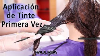 Aplicación de Tinte Primera Vez RAUL ROA ESTILISTA [upl. by Daryn]