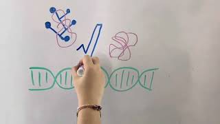 TRANSCRIPCIÓN DEL ADN A ARN  Proyecto bimestral 2  BIOLOGÍA [upl. by Ayanal]