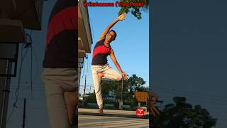 Vrikshasana  Yoga Sudip 🕉️ shorts yoga yogapractice shortvideo [upl. by Sivie306]