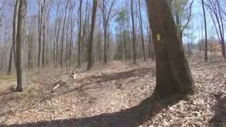 Hike to the Abandoned Bullion Iron Furnace [upl. by Rizan10]