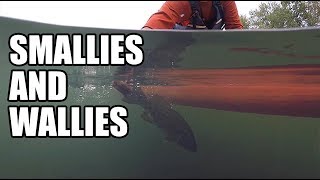 Kayak Fishing  Kiski River Smallies and Wallies [upl. by Ingunna]