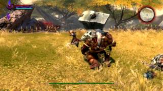 Kingdoms of Amalur Reckoning PC Gameplay HD Max Settings [upl. by Aissak289]