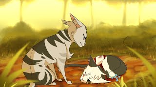 Warrior Cats  All Apprentice Deaths [upl. by Nawk]