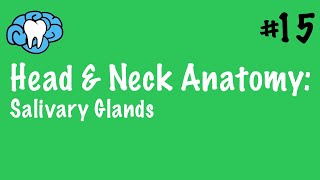 Head amp Neck Anatomy  Salivary Glands  INBDE [upl. by Lleon635]