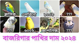 বাজরিগার পাখির দাম 2024  পাখি পালন  Budgerigar Bird price In Bangladesh 2024  সৌখিনতার তথ্য [upl. by Akenal]