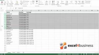 How to Group Rows and Columns in Excel 2013 [upl. by Nosyt116]