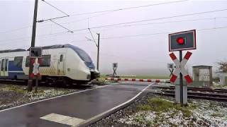 Bahnübergang Münster Rieselfelder [upl. by Bay]