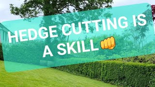 HOW I CUT A GRISELINIA HEDGE [upl. by Felicle]