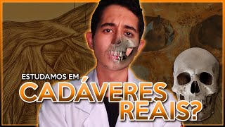 CADÁVERES REAIS Aulas práticas de Anatomia  MedampMind [upl. by Accever]