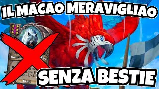 MACAO MERAVIGLIAO ANCHE SENZA BESTIE  Hearthstone Battlegrounds ITA [upl. by Orrocos]