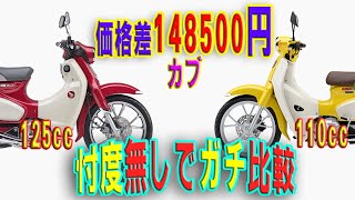 【知らないと損】スーパーカブ110とC125どっち乗ったら幸せ？ [upl. by Yartnoed493]