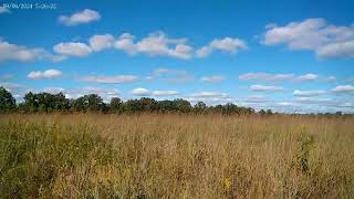 We explore Penny Nature Area with our good friends TheGypsyandtheVanillaGorilla [upl. by Minica]