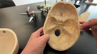 Skull Sphenoid and Ethmoid Bone and their bone markings [upl. by Miahc763]