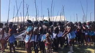 Inkciyo YamaMpondo Mpondo Reed Dance Lwandlolubomvu Great Place Ntabankulu [upl. by Latoya]