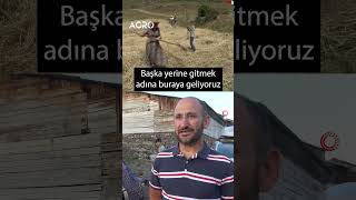 Fransız Gelin Artvinde İnek Sağıyor Ekmek Yapıyor shorts [upl. by Nylitsirk]