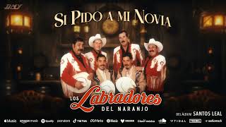 Los Labradores Del Naranjo  Si Pido A Mi Novia Audio Oficial [upl. by Gnous635]