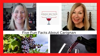 Five Fun Facts About Carignan [upl. by Nyla46]