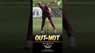 Controversial Umpire Decision Run Out or Did His Hand Knock the Stumps controversial [upl. by Ardith241]