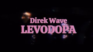 Levodopa  Direk Wave Official Music Video [upl. by Ebenezer]