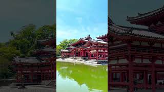 Byodoin Temple kyoto dulich [upl. by Shank354]