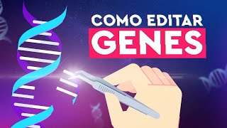 Como o CRISPR Funciona Edição Genética Explicada [upl. by Aneres673]