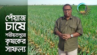 জাজিরায় পেঁয়াজ চাষে সফল কৃষক  কৃষি দিবানিশি  Shykh Seraj  Bangladesh Television [upl. by Franzen]