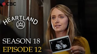 HEARTLAND SEASON 18 EPISODE 12 TRAILER  Amy is pregnant FINAL [upl. by Nauwaj]