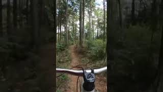 commencal mtb tempo trail gopro [upl. by Alleras]