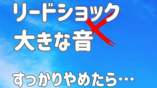 『リードショック』『大きな音』古い訓練全てやめたら・・・マルチーズ6歳 [upl. by Anairdna670]