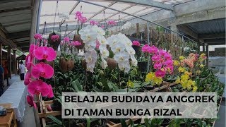 NET JABAR  BELAJAR BUDIDAYA ANGGREK DI TAMAN BUNGA RIZAL [upl. by Marisa660]