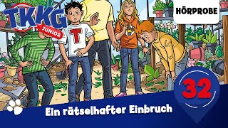 TKKG Junior  Folge 32 Ein rätselhafter Einbruch  Hörprobe zum Hörspiel [upl. by Nawram]