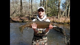 Steelhead Fishing the Salmon River in April [upl. by Hally]