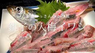 【千葉 銚子】銚子の入梅イワシ｜哀愁おっさんひとり旅 Vol83 [upl. by Cam]