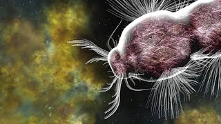 New Organism X VS Daphnia Bionix Creature Creator [upl. by Bigelow]