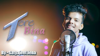 Tere Bina  Satyajeet Jena  Cover Version [upl. by Akimad]