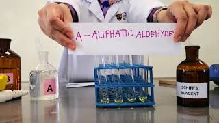 Schiff’s Test Experiment Aldehyde and Ketone [upl. by Abernon]