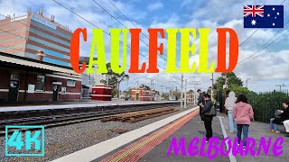 Caulfield Uncovered A Captivating Walking Tour 2023  4K [upl. by Revlys]