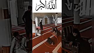 bestquranrecitation qurantranslation quran iloveprophetmuhammadﷺ [upl. by Alanah]