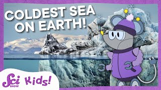 The Coldest Seas on Earth  SciShow Kids [upl. by Hcurob]