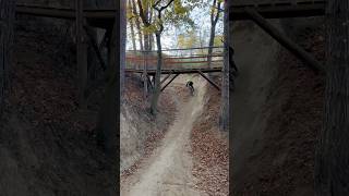 VITO stepup bike mtb fyp mtblife biker bikelover bikelife 7yearsold yt ok huge bikepark [upl. by Block]