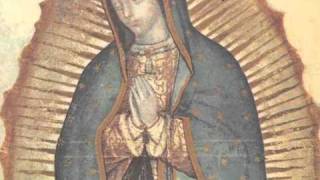 La historia de las apariciones de la Virgen de Guadalupe [upl. by Gaynor]