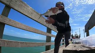 Fishing at Seaview Pier NC 9724 fishing hmonglife hmongfishing spanishmackerel fishinglife [upl. by Mara]