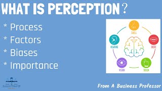 5 Most Common Types of Perceptual Biases in the Workplace  From A Business Professor [upl. by Fawna775]