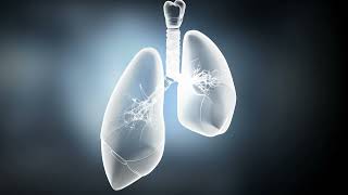 Common Questions About Mesothelioma Diagnosis [upl. by Yorel558]