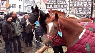 324 Leonberger Pferdemarkt  ausführlicher Bericht  10022015 [upl. by Einafats]