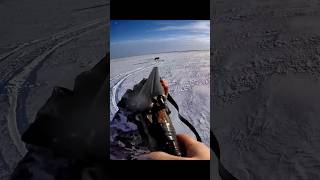 This Wolf Survived My Best Shot 😱 foxhunting hunting охота волк обезьяны падение [upl. by Particia]