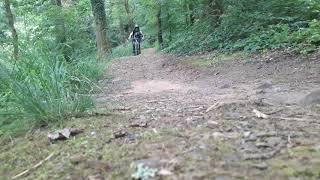 Some clips up clyne woods [upl. by Novyad693]